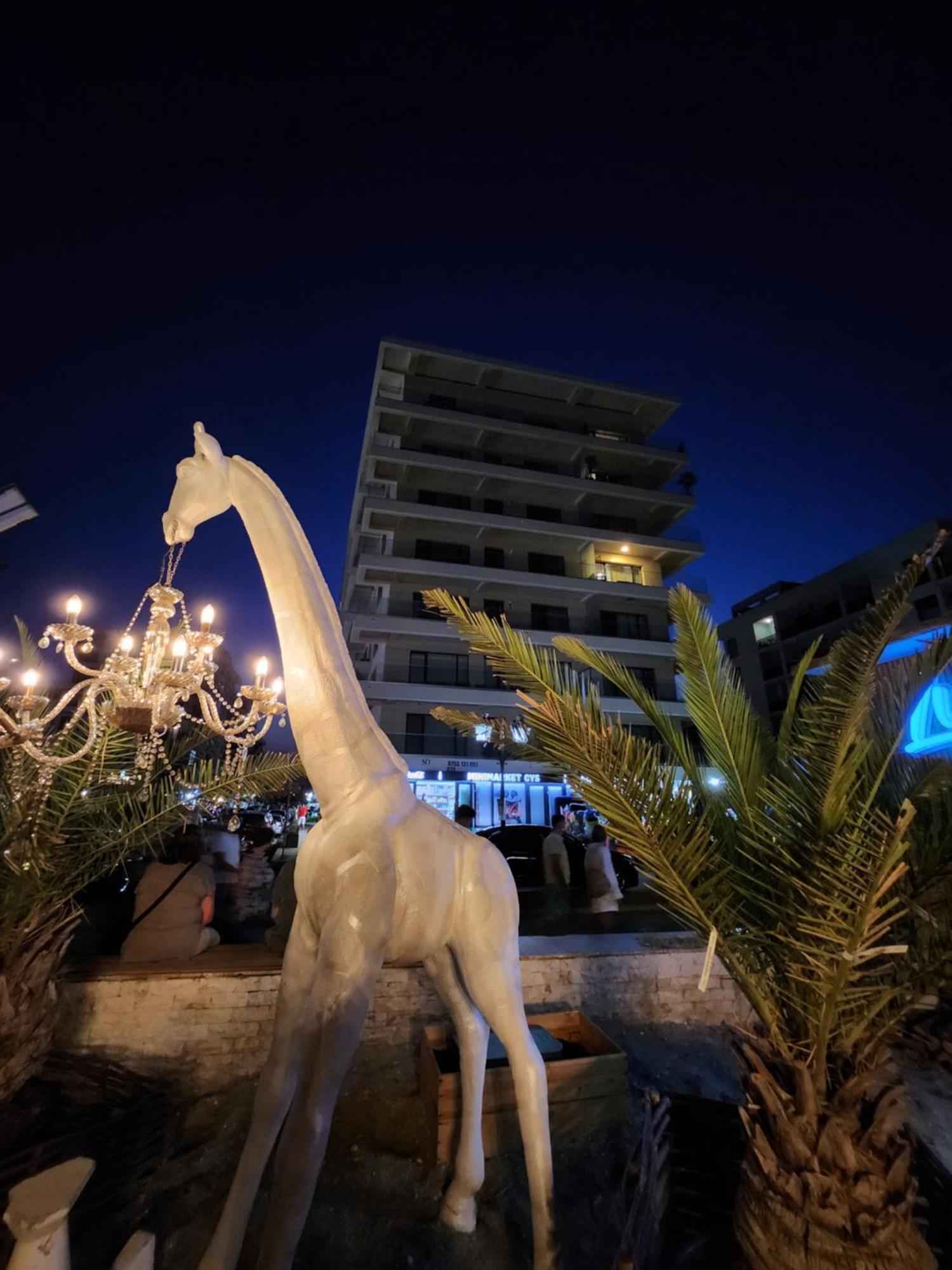 Seaside Amalia Apartament Năvodari Esterno foto